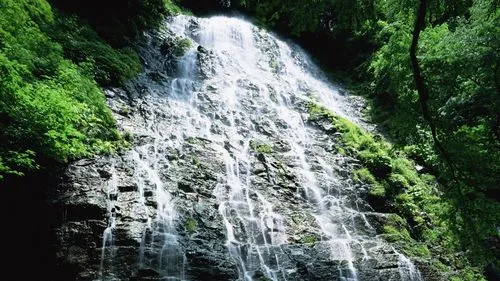 科技独特高端